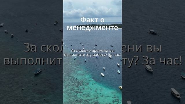 Факт о менеджменте - тайм-менеджмент #taus #менеджмент #факт