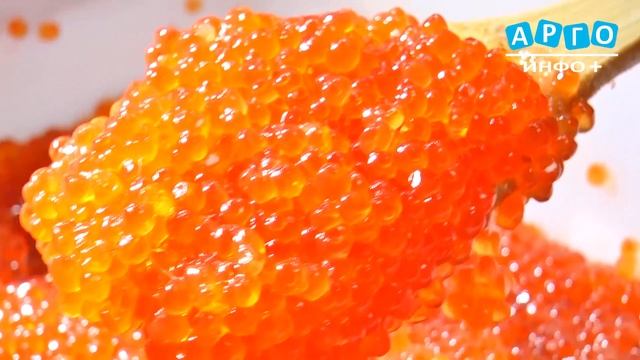 Сафоновцы вновь могут полакомиться рыбой и икрой, привезенных с Камчатки