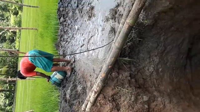 Digging a Well in a Farm in the Philippines смотреть онлайн