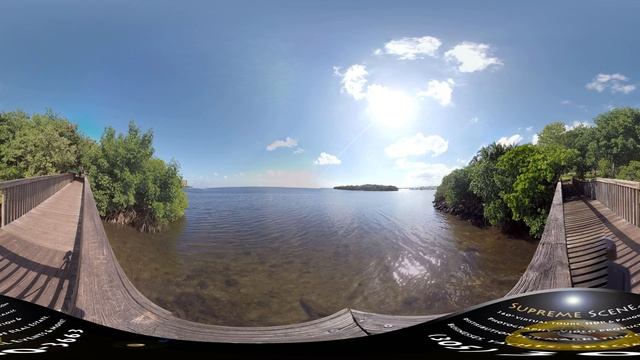 Coconut Grove 360º Virtual Reality смотреть онлайн