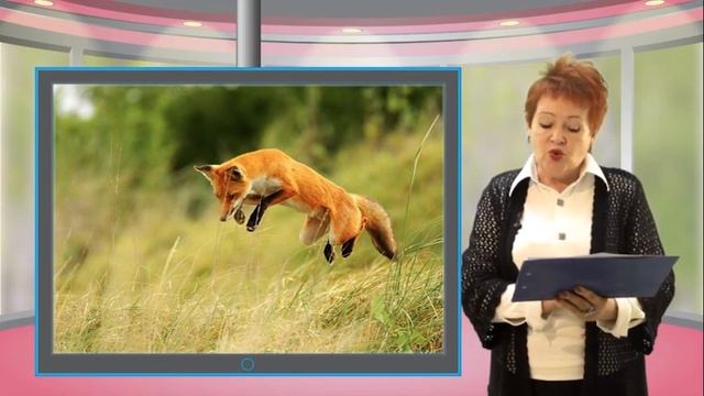 Rus pr sch 004 смотреть онлайн