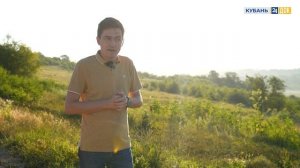 Овцеводство. Как разводят мясных и молочных овец и баранов? Край аграрный