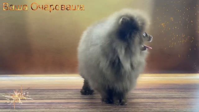От Эстер