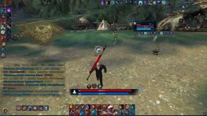 Tera Akeron Slayer pvp duel vs Lancer