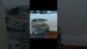 жизнь строителя