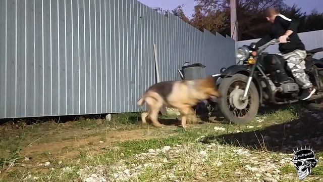 Первый запуск Днепр мт-16 смотреть онлайн