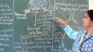 DNA Replication in E Coli (Eng)