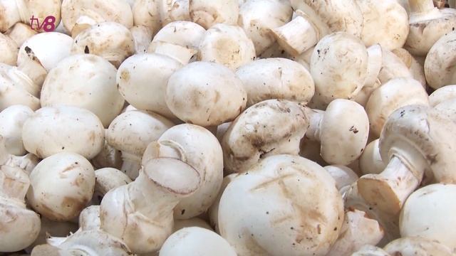 Встревожены решением властей смотреть онлайн