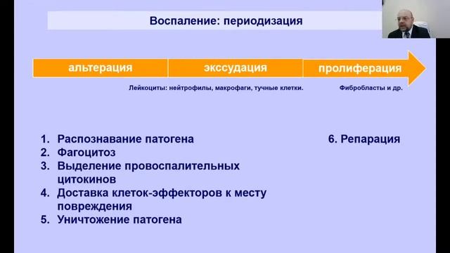 Лекция: Патологическая анатомия воспаления. 15.03. 9.00-10.25
