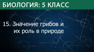 Биология 5 класс: Значение грибов и их роль в природе