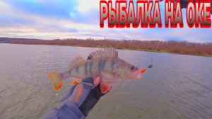 Ловля на джиг в ноябре. Рыбалка на Оке ловля хищника на спиннинг.