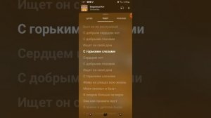 Бездомный кот - Simachka - Текст Песни