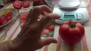 Томат Партнёр от ф. Семко - знакомимся.