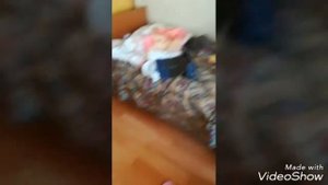 Мы с Аксиньей приехали в санатории ВЕЛЕГОЖ!!!!!!!