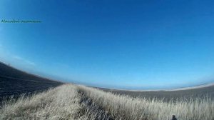 охота на зайца