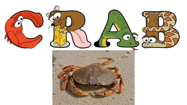 Learn to Read with alphabetimals for kids | Digraphs phonics blends | Letter sound | fonetica ingle