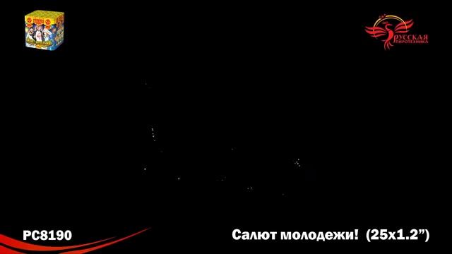 PC 8190 Салют молодёжи смотреть онлайн