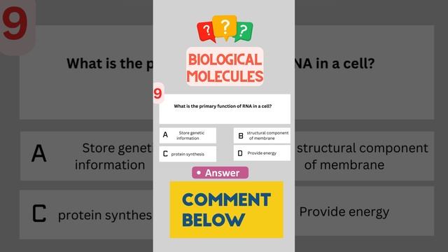 Biomolecules Quiz 9