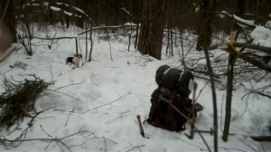 Зимний поход с ночёвкой в лесу 1 часть