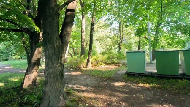 Раннее утро на Елагином острове. Прогулка вдоль берега к центру парка. Природа и архитектура | 4K