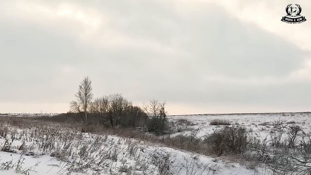 Охота на зайца с гончей и дратхааром / Hare hunting смотреть онлайн
