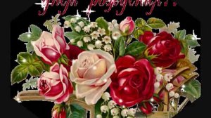 Сан хьоме Залина Дала декъал йойла хьо йинчу денца!!!