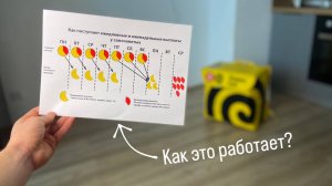 Деньги в Яндекс Еде. Как приходят выплаты курьерам
