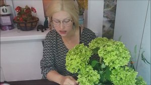 ГОРТЕНЗИЯ Hydrángea Теневыносливые удачные цветы для сада #ГОРТЕНЗИЯ #Hydrángea #цветыудачи#садовод