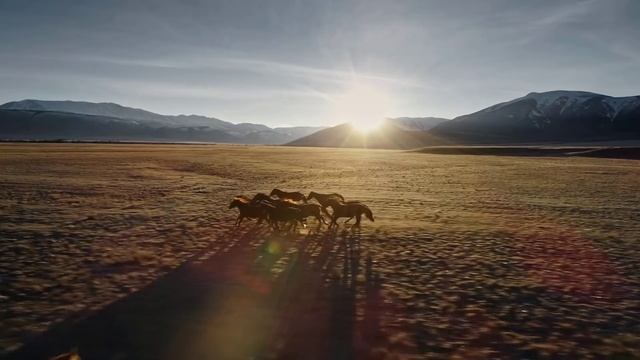 Extinct Snake In The World Titanoboa | Mind Blowing Facts | V R Facts In Telugu | Ep44 смотреть онлайн