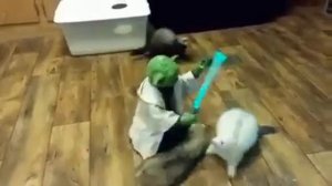 Мастер ЙОДА