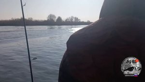 станья осень 2024