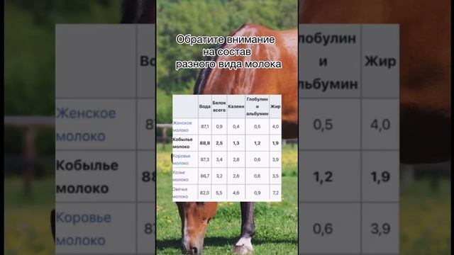 Самое полезное молоко для детей #педиатр #гастроэнтеролог #дети #молоко
