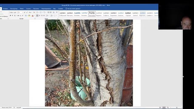 Вебинар №273 Садоводство глазами Валерия Железова смотреть онлайн