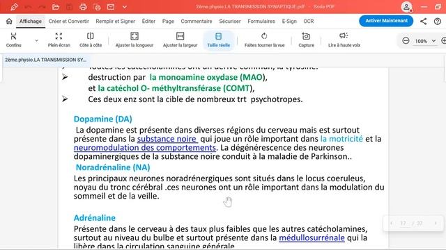 Cours neuro physiologie: la transmission synaptique. #médecine #neurologie#résidanat #synapses смотреть онлайн