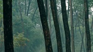 Янь Ши Фань: Новая молодёжь 1 сезон 27 серия