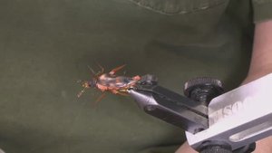 Foam Fly 2, простые мушки из пенки 2, трансляция по вязанию мушек