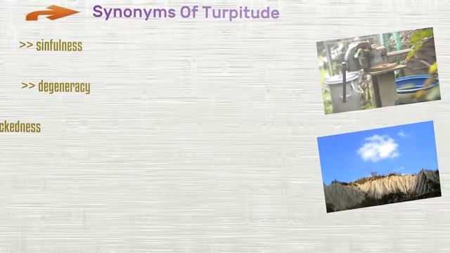Turpitude - Meanings Pronunciation Examples and Synonyms