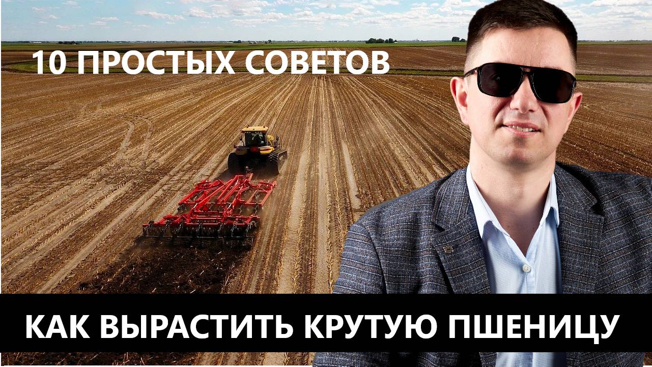 Топ-10 советов для отличных результатов при выращивании пшеницы. Собрали свой опыт и опыт коллег.
