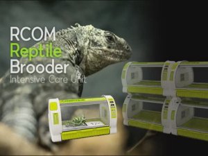 Брудер Rcom Reptile brooder 60 для рептилий, нуждающихся в лечении