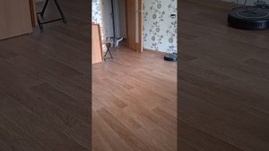 домашняя белка Маша