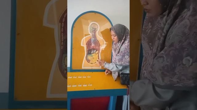 PRAKTIKUM IPA (PENCERNAAN MAKANAN) смотреть онлайн