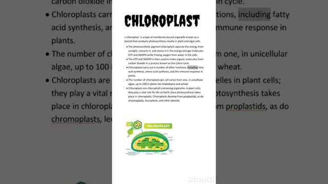 Chloroplast | Cell organelle | NCERT смотреть онлайн