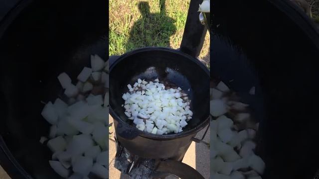 наш дебют плова из баранины #павелгрозный #shorts #плов #готовимнадаче