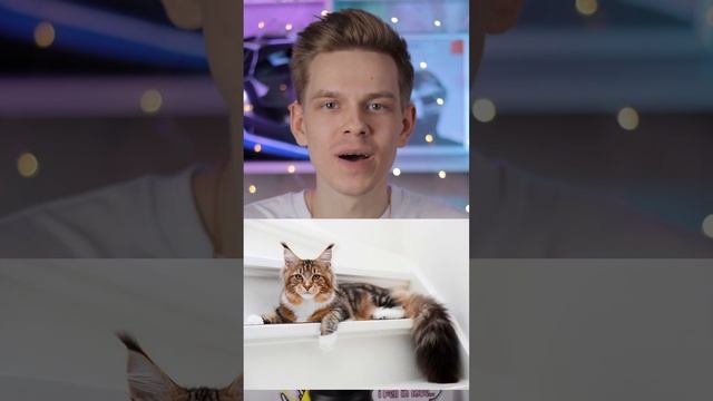 НЕВЕРОЯТНЫЕ РАЗМЕРЫ ЖИВОТНЫХ