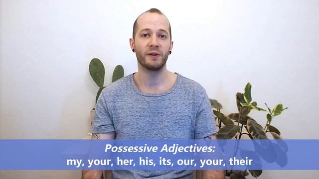 lingoni ENGLISH (9) - Possessive adjectives - A1 смотреть онлайн