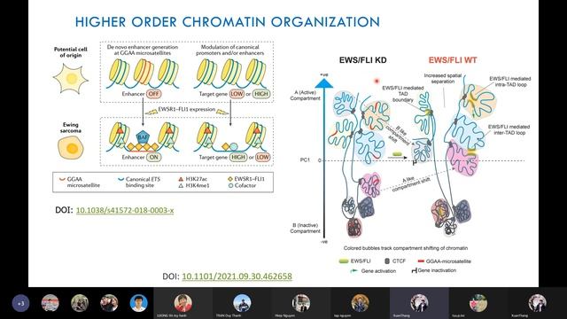 JCS 14: Sarcoma and epigenetic mechanisms