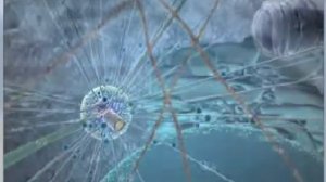 cytoskeleton harvard