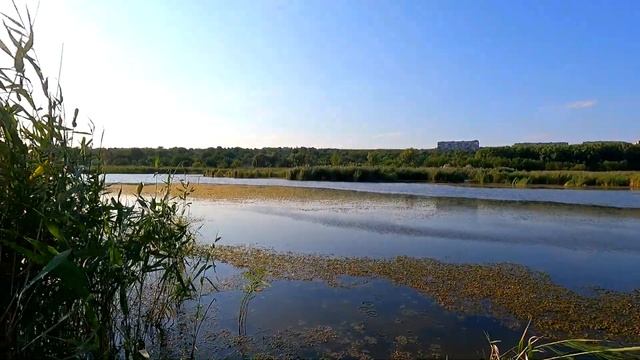 Славянск. 2 августа 2024г. Вечер. смотреть онлайн