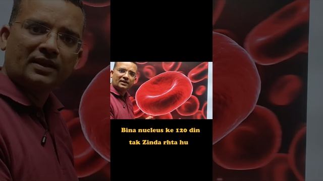 Kya aapko pata hai Human RBC kaise bina nucleus ke 120 din Zinda rhta hai????