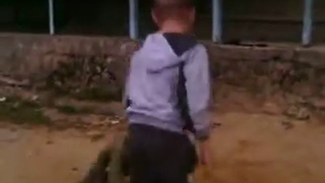 русенские драчюны